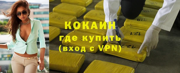 хмурый Аркадак