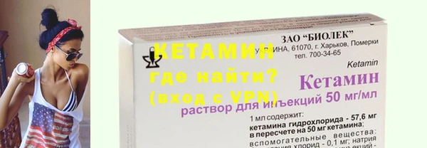 хмурый Аркадак