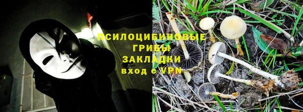 хмурый Аркадак